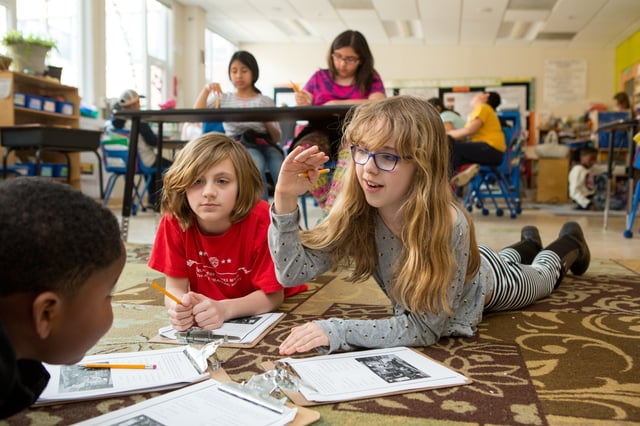 AMERICANED_CAPCITY_137